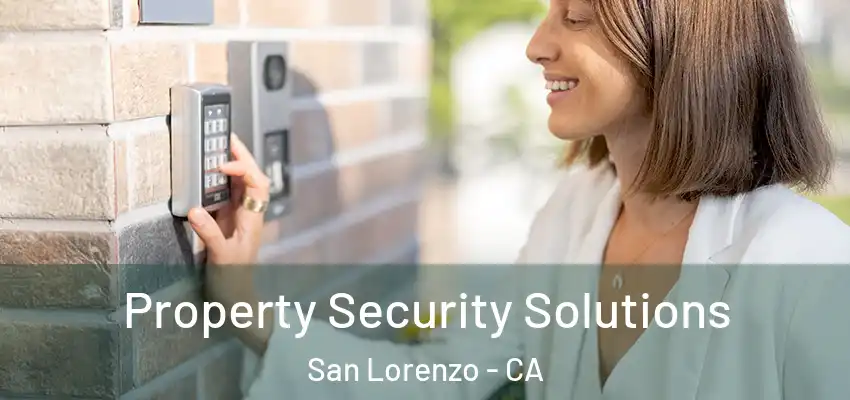 Property Security Solutions San Lorenzo - CA